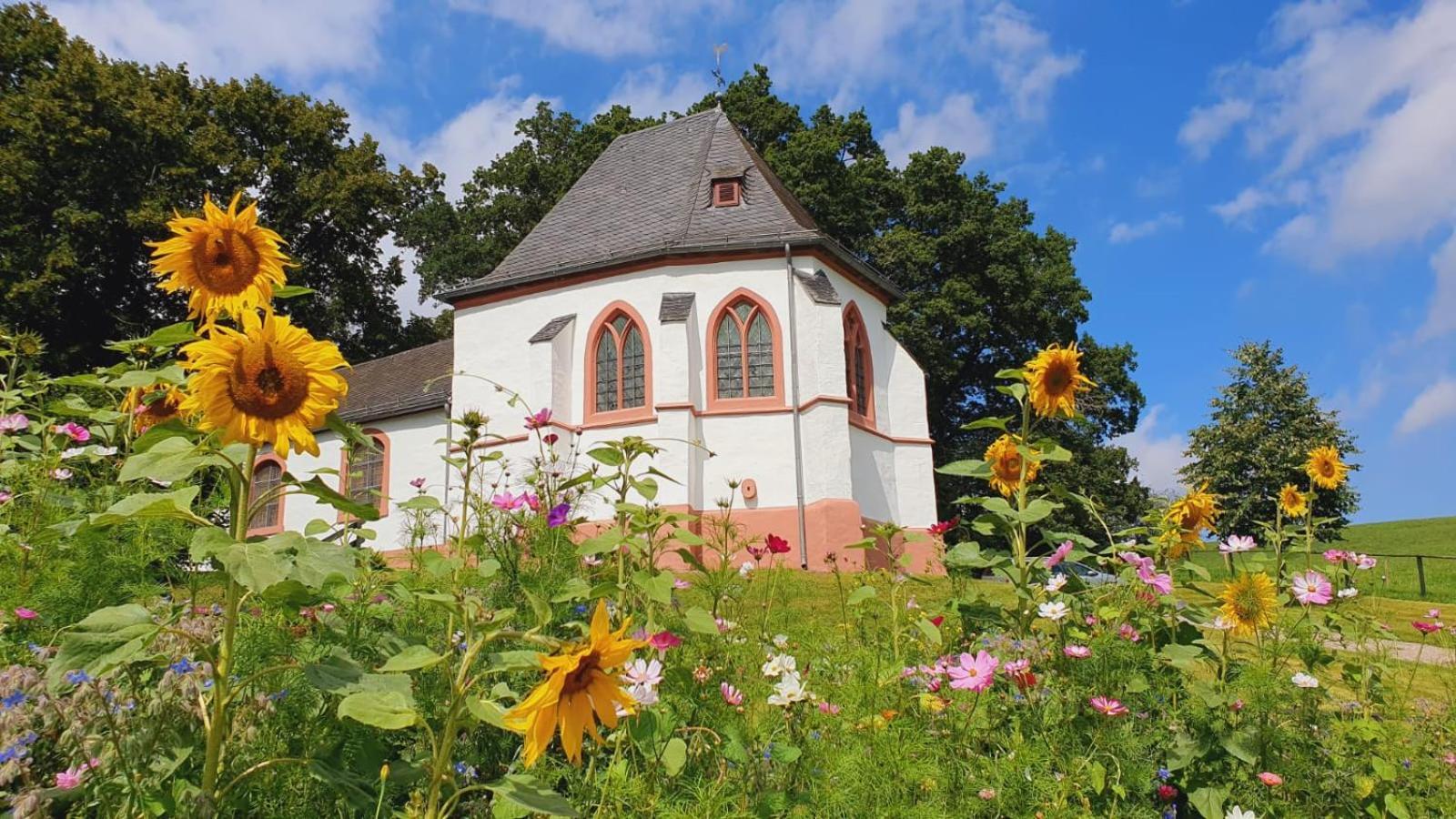 Ferienhaus Deine Zeit Mit Sauna Und Wallbox Nettersheim Exteriér fotografie